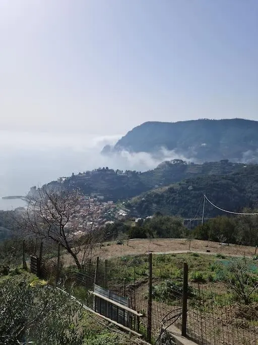 Ca' Da Elisa Apartment Monterosso al Mare Italy